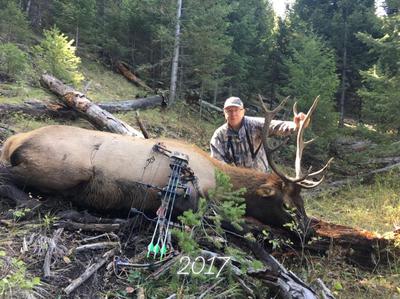 Elk Hunting In Montana